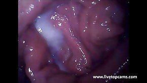 livetopcams.com cam girl orgasm filmed from inside vagina